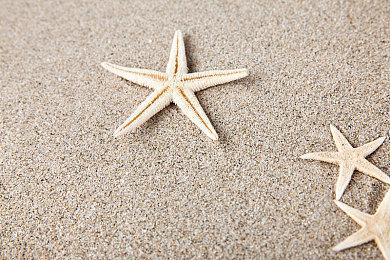 《猎天使魔女：起源》试玩版已上线 可游玩前两章